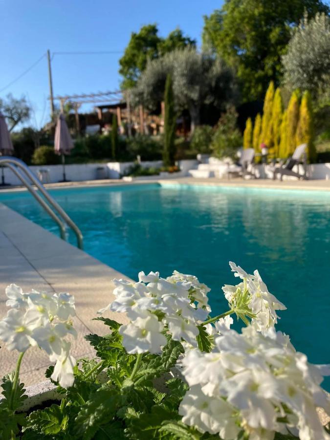 Bed and Breakfast Porturama Mouronho Экстерьер фото